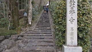 どんな願い事も、ひとつだけ叶えてくれる。