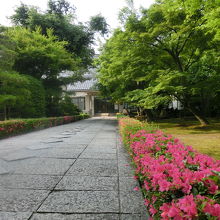 緑多い素晴らしい環境です