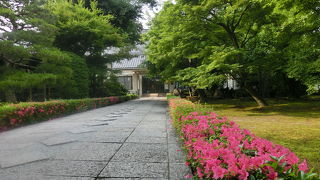 伊藤若冲を見に行ったのですが...