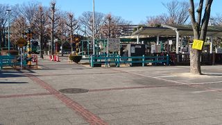 子連れで楽しめます