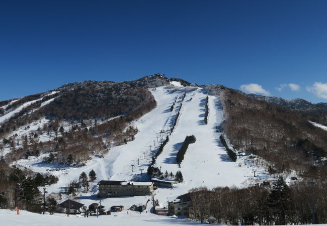 志賀高原リゾートエリア 高天ヶ原マンモススキー場 クチコミ アクセス 営業時間 湯田中渋温泉郷 志賀高原 フォートラベル 志賀高原リゾートエリア 高天ヶ原マンモススキー場 クチコミ アクセス 営業時間 湯田中渋温泉郷 志賀高原 フォートラベル