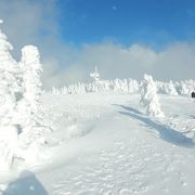 樹氷の名所