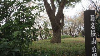 東横線沿線の緑濃い丘