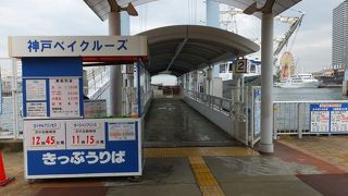 主に２社が運航