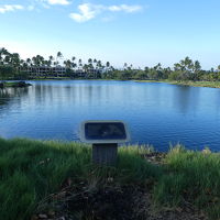 敷地内にあるフィッシュポンド