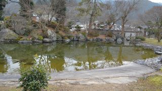 中庭は立派です