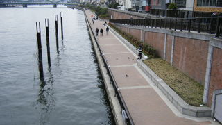 隅田川沿いに散歩