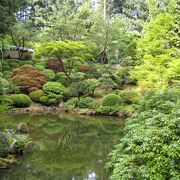 大規模な日本庭園