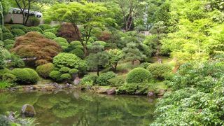 大規模な日本庭園