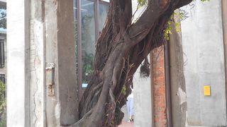 おしゃれな観光スポット