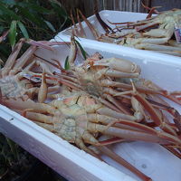 浜坂がにのタグ付きです。逃げないように裏返して置いているそう