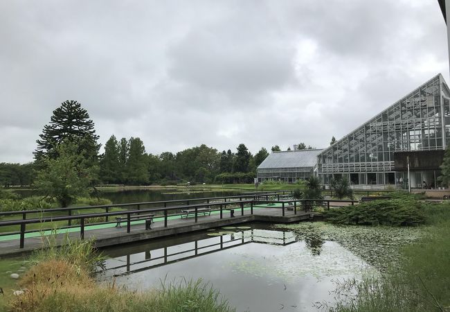 広大な植物園