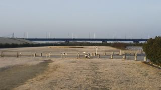 芝生が白かったです