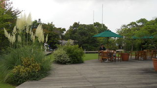 玉川高島屋の屋上にあるガーデン☆