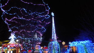 こちらのイルミも