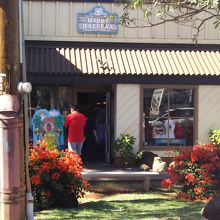 ハッピーハレイワ