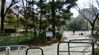 ごく普通の公園でした