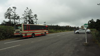 車窓からでも紅葉が楽しめる
