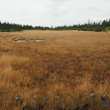 黒谷地湿原