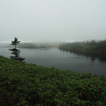 八幡沼（陵雲荘のデッキから）