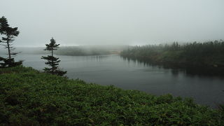 八幡平一の景勝地