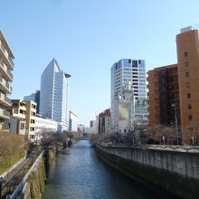 目黒新橋より下流の目黒太鼓橋を眺める