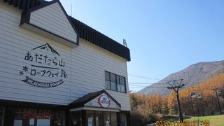 紅葉の山を一望