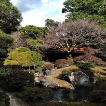 京都御所内の庭園