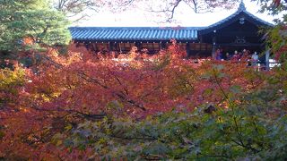 紅葉の名所 (o^^)o