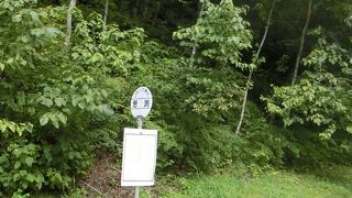 盛岡から龍泉洞までの国道455号の路線バスです