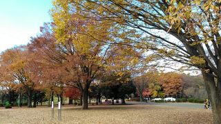 子どもたちには、なかよし広場やわんぱく広場が人気です