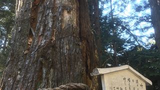 なんかがめつい