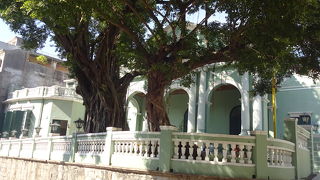 きれいなミントグリーン