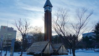 雪に埋もれてる。