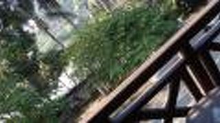 ラン カム ゲストハウス