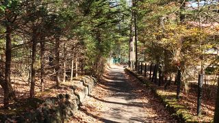 秋の風景はさびれてあんまりです