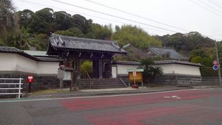 日本最古の蘇鉄があります！