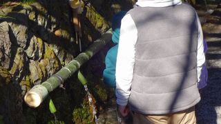 清澄な湧き水が人気です。