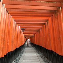 朱色の鳥居の中を・・・