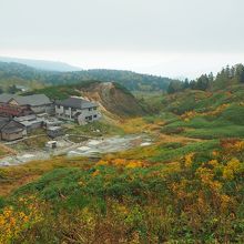 藤七温泉全景