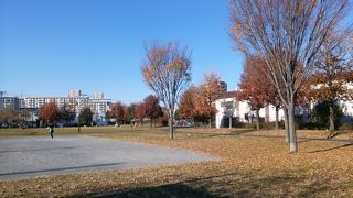 広々としていてベビーカーでのお散歩に最適