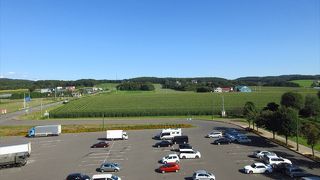 石狩平野を見渡すことができる道の駅．夏なのにイチゴもあった．