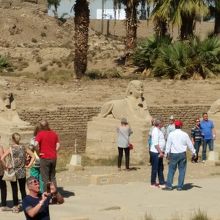 ルクソール神殿そば