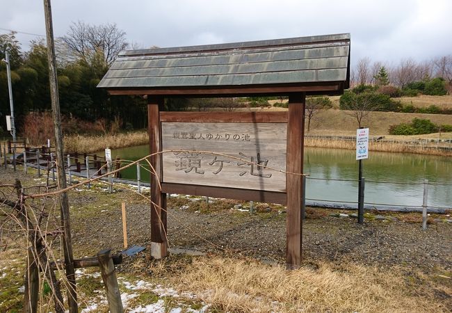 親鸞聖人ゆかりの池