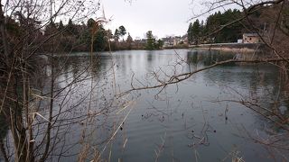 蓮池公園