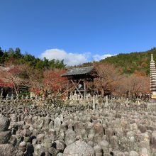 無縁仏の石仏と石塔です