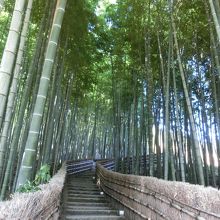 竹の小径を上ると六面体地蔵があります