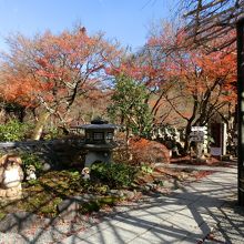 境内のそこかしこに紅葉が残っていました