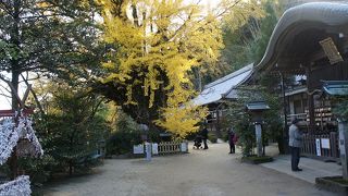 葛城族の祭神、願いをひと言だけ叶える