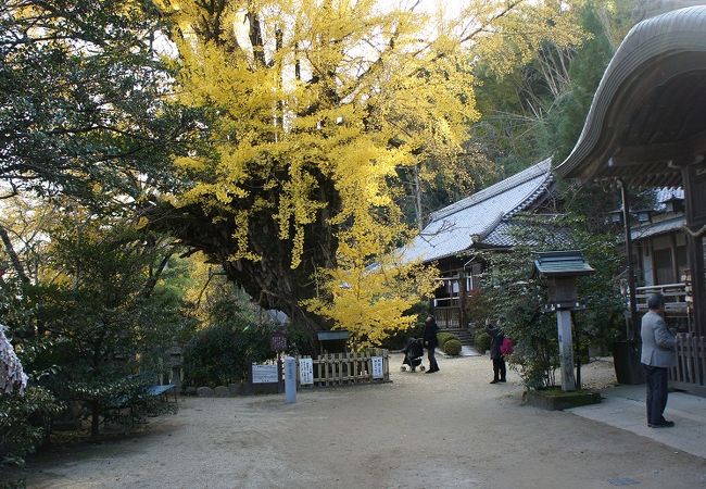 葛城族の祭神、願いをひと言だけ叶える